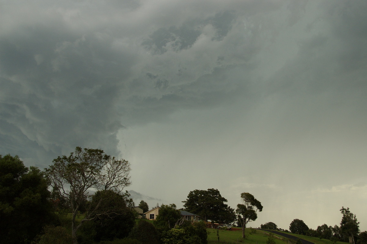 cumulonimbus thunderstorm_base : McLeans Ridges, NSW   3 December 2008