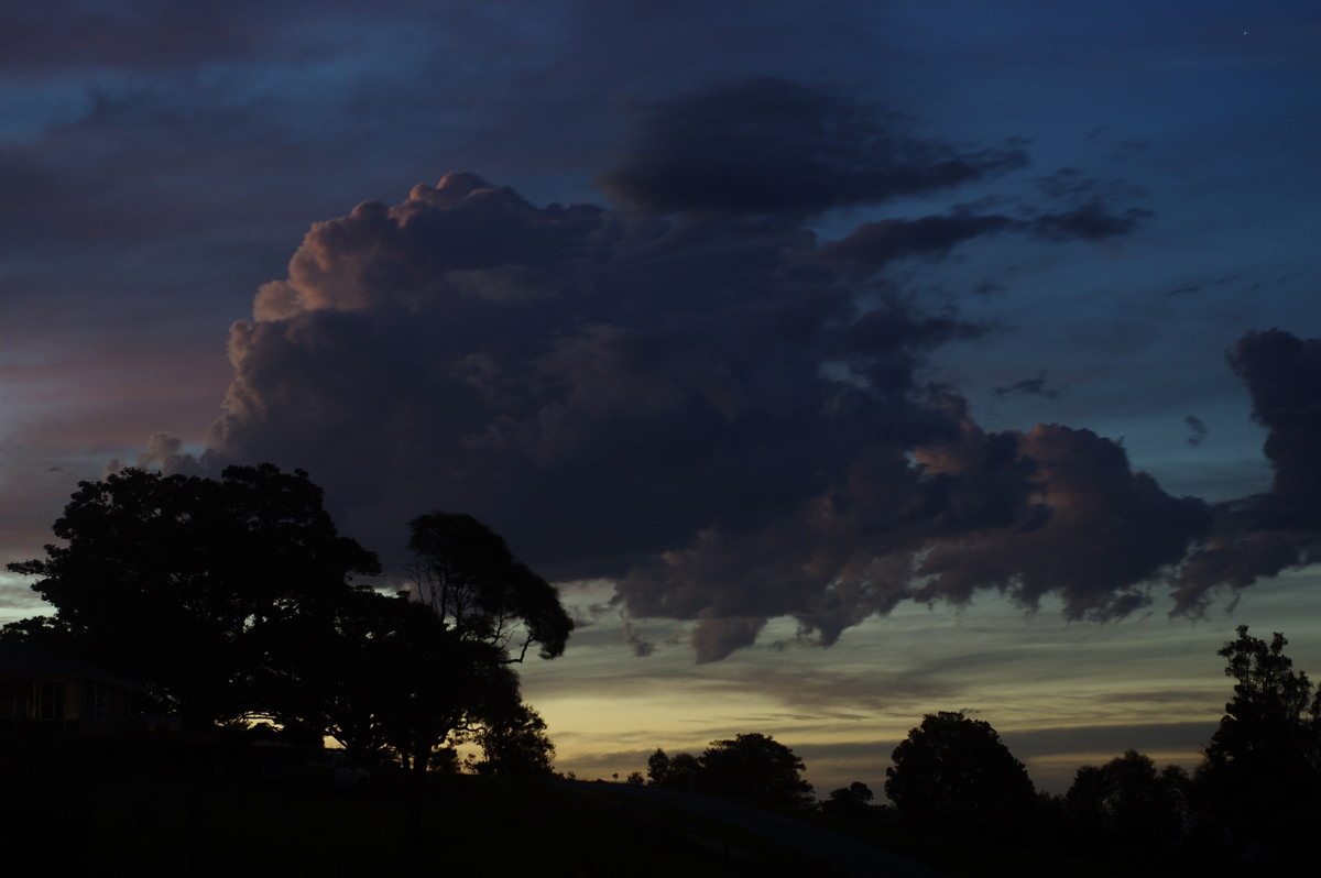 cumulus mediocris : McLeans Ridges, NSW   3 December 2008