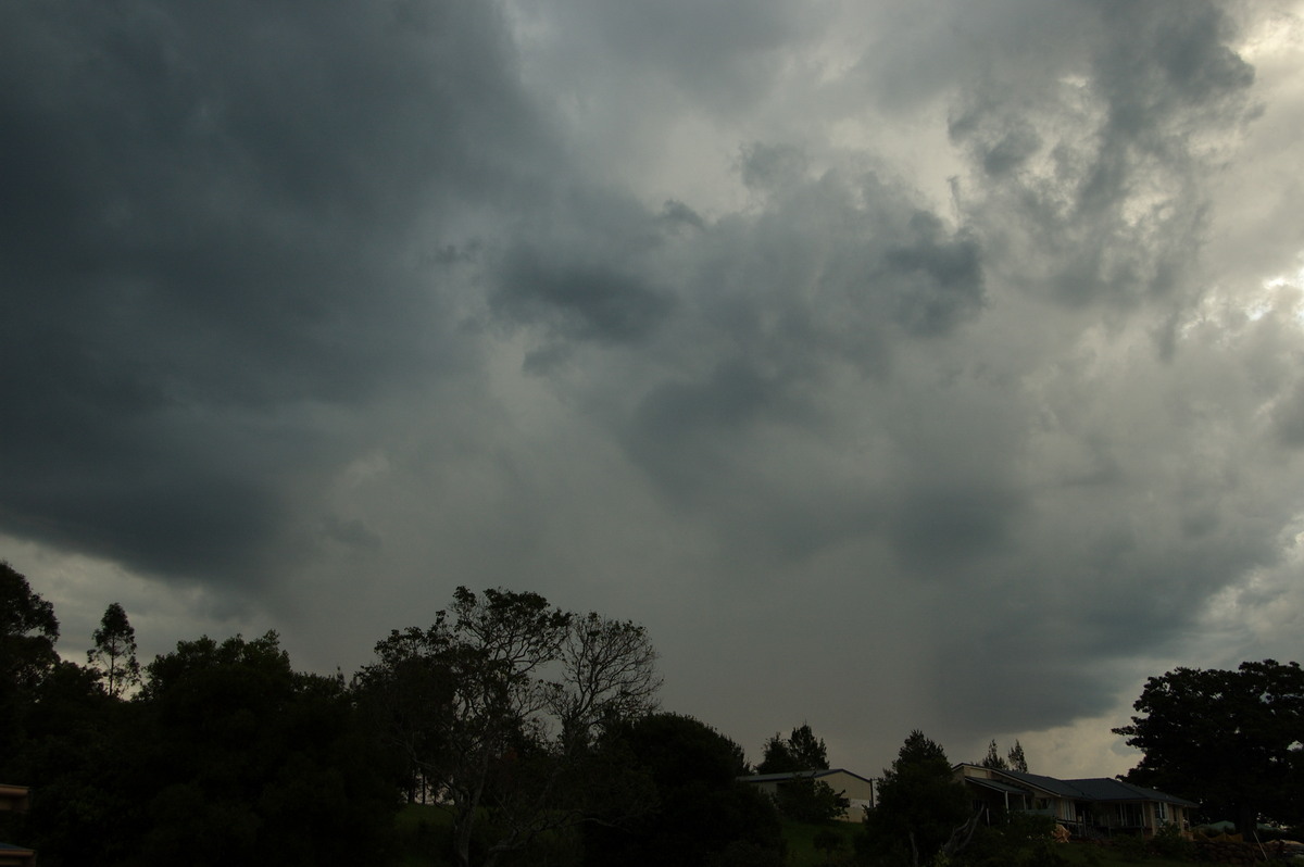 cumulonimbus thunderstorm_base : McLeans Ridges, NSW   6 December 2008