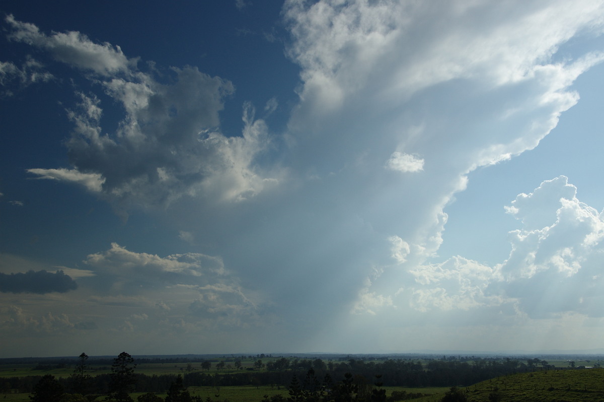 thunderstorm cumulonimbus_incus : Parrots Nest, NSW   10 December 2008