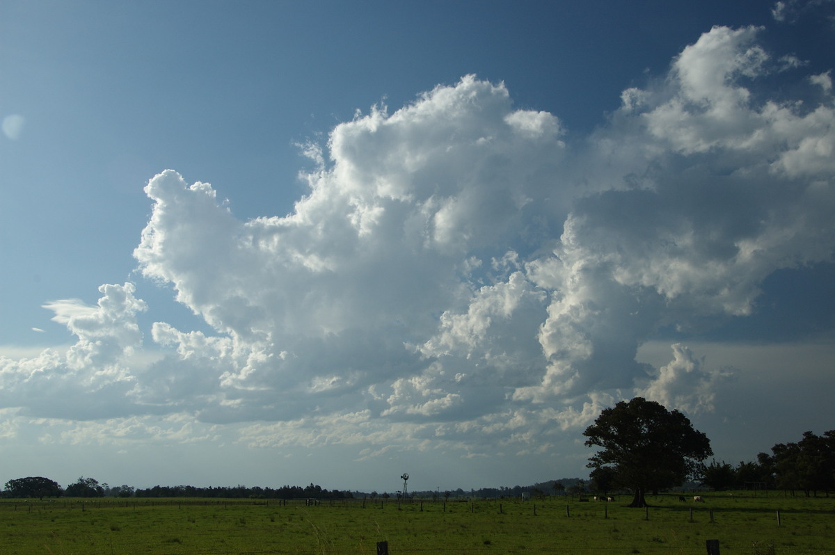 cumulus mediocris : McKees Hill, NSW   10 December 2008