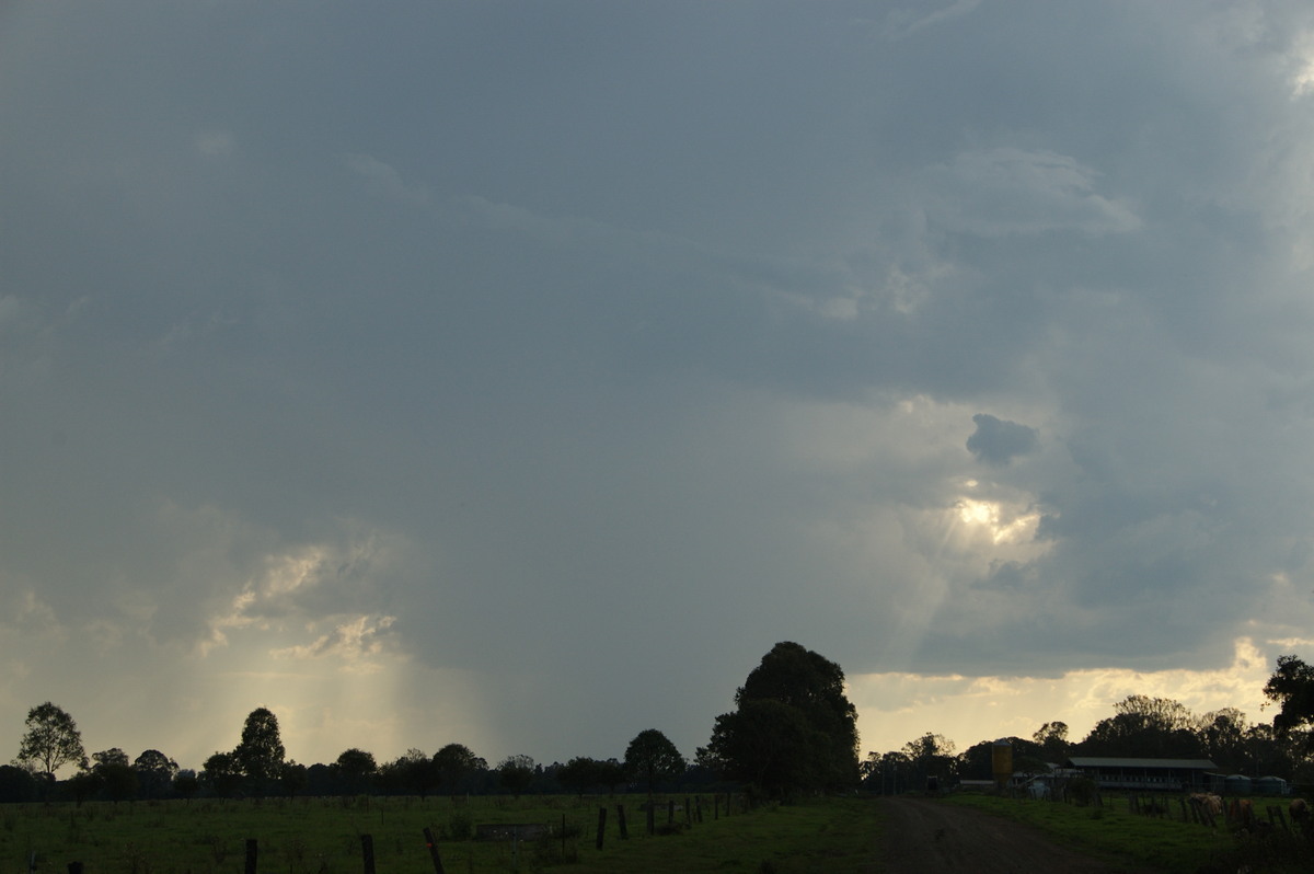 cumulonimbus thunderstorm_base : Ruthven, NSW   10 December 2008