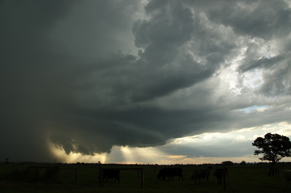 cumulonimbus thunderstorm_base : McKees Hill, NSW   10 December 2008