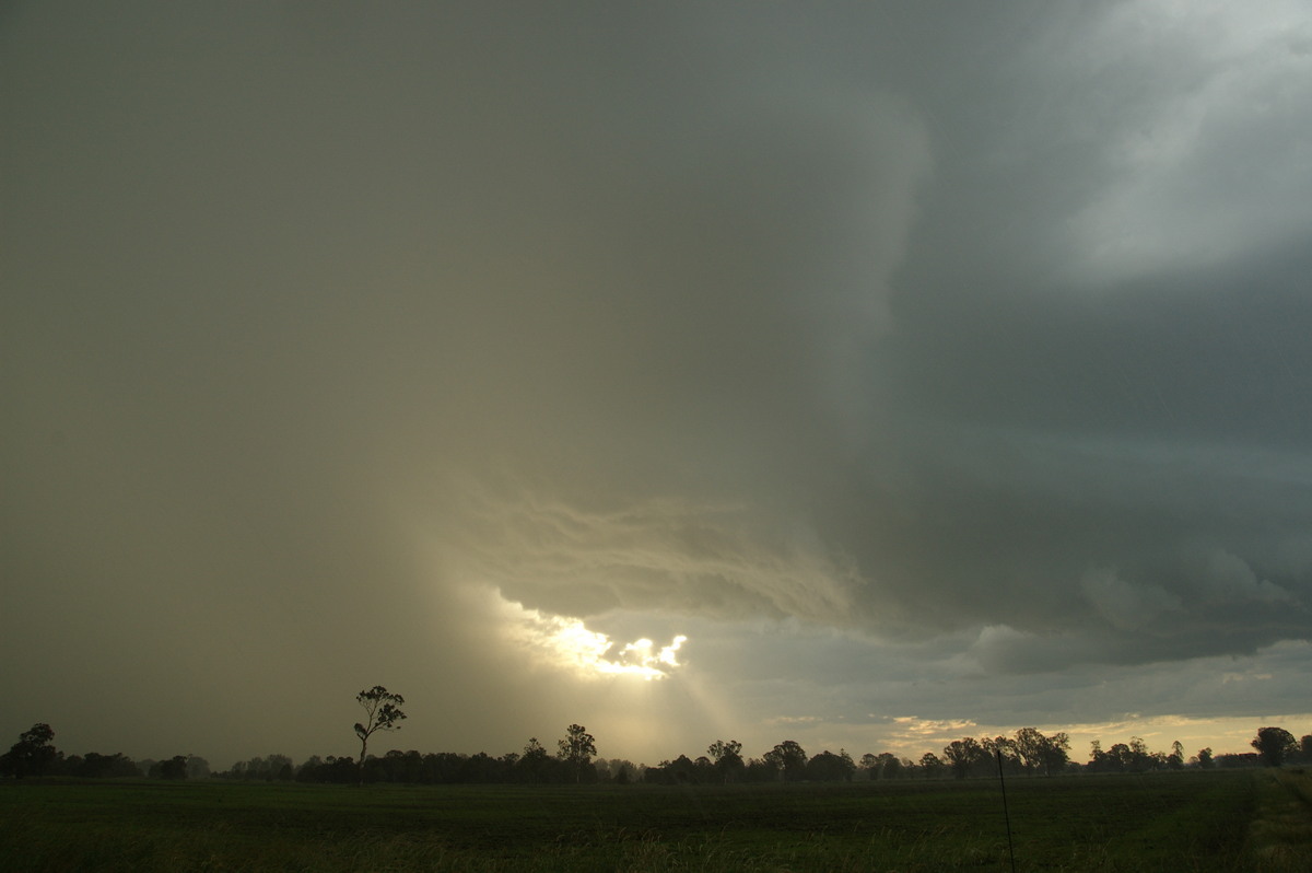 raincascade precipitation_cascade : McKees Hill, NSW   10 December 2008