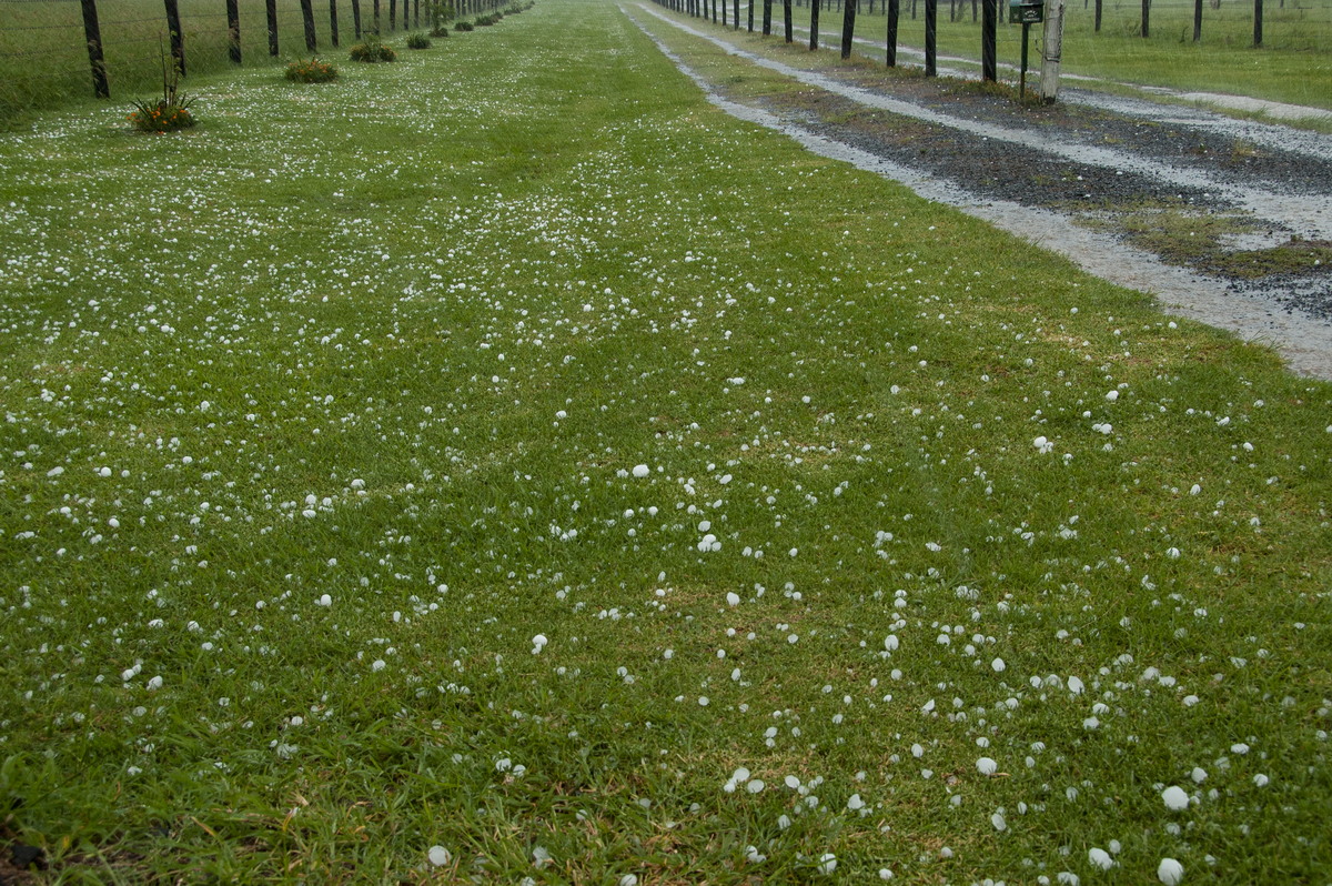 hailstones hail_stones : Clovass, NSW   10 December 2008