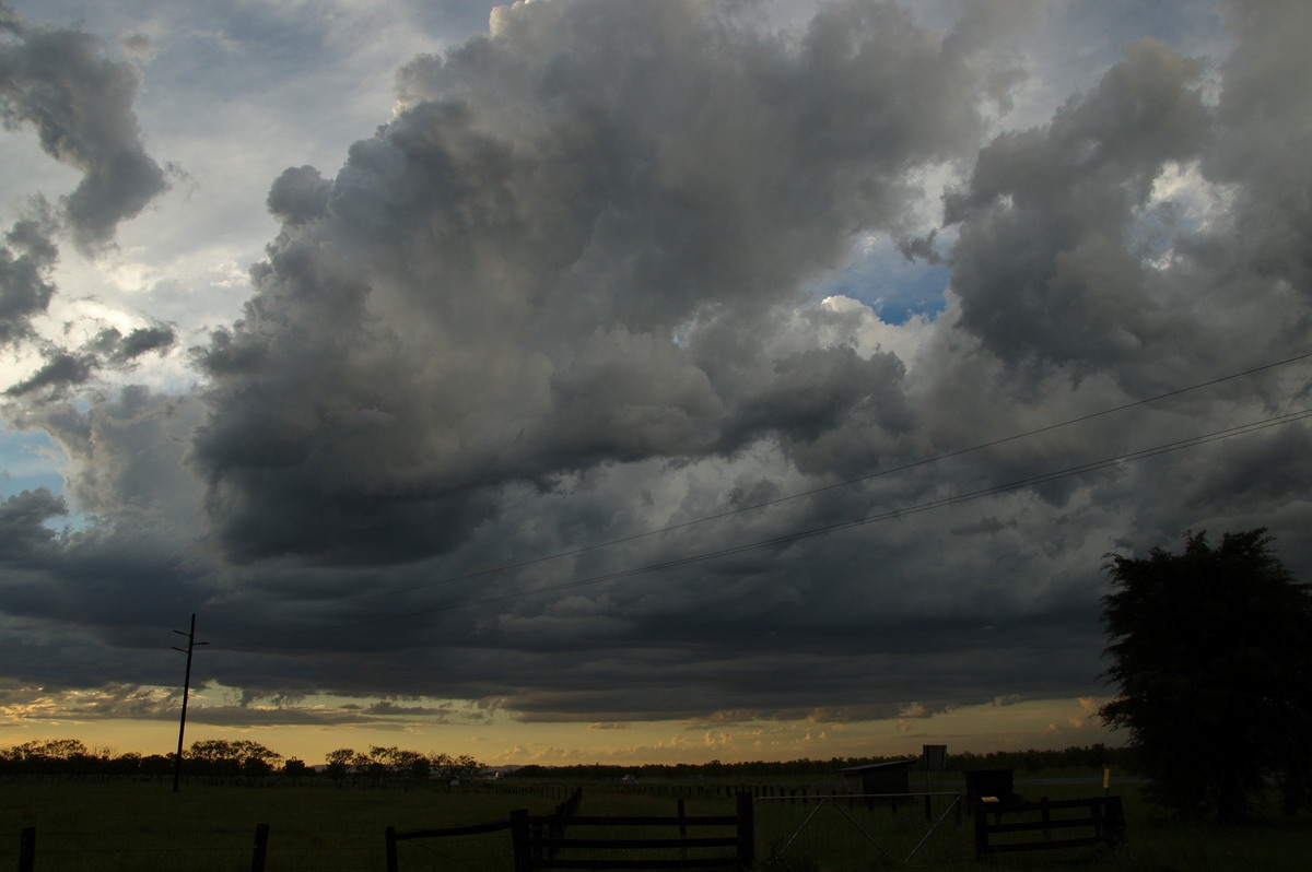 cumulus congestus : Clovass, NSW   10 December 2008