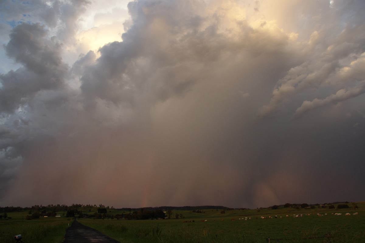 raincascade precipitation_cascade : Clovass, NSW   10 December 2008