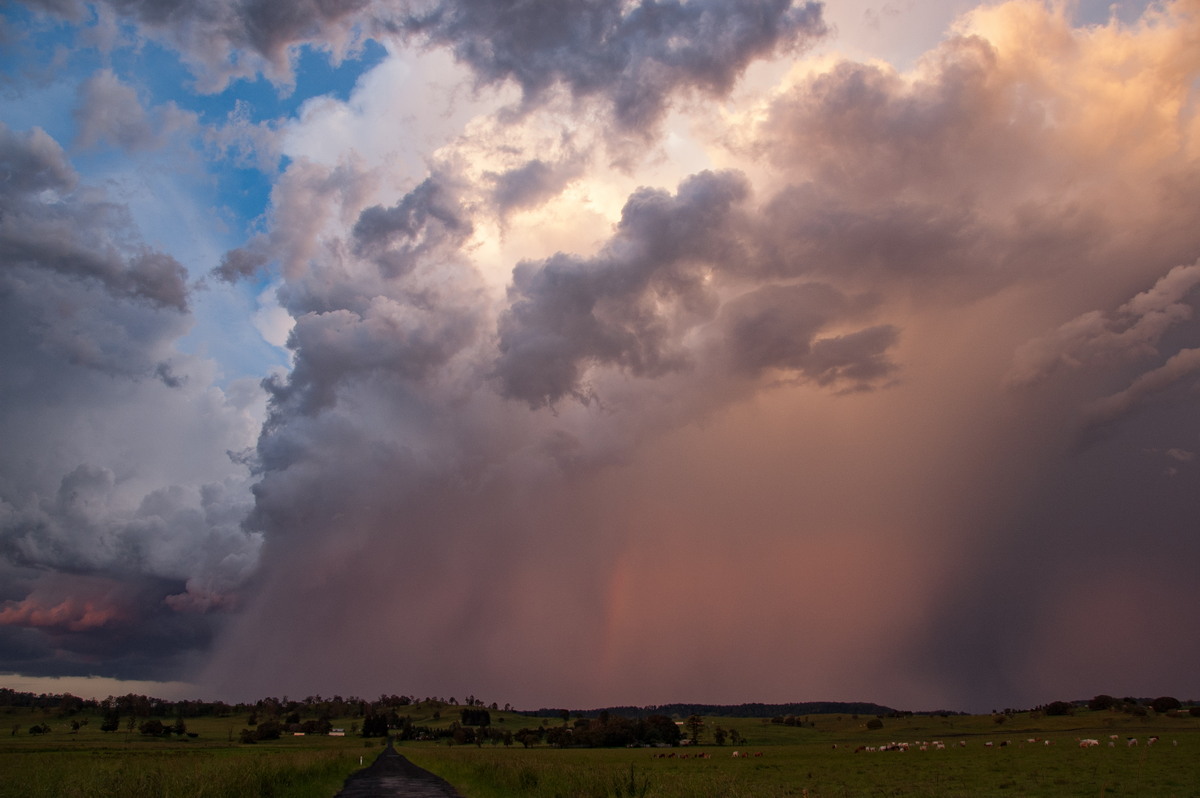 thunderstorm cumulonimbus_incus : Clovass, NSW   10 December 2008