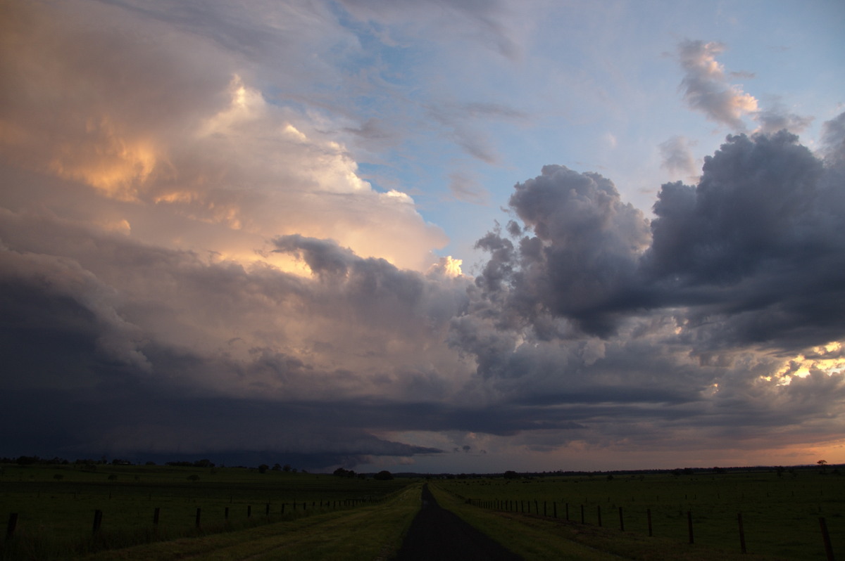 cumulus congestus : Clovass, NSW   10 December 2008