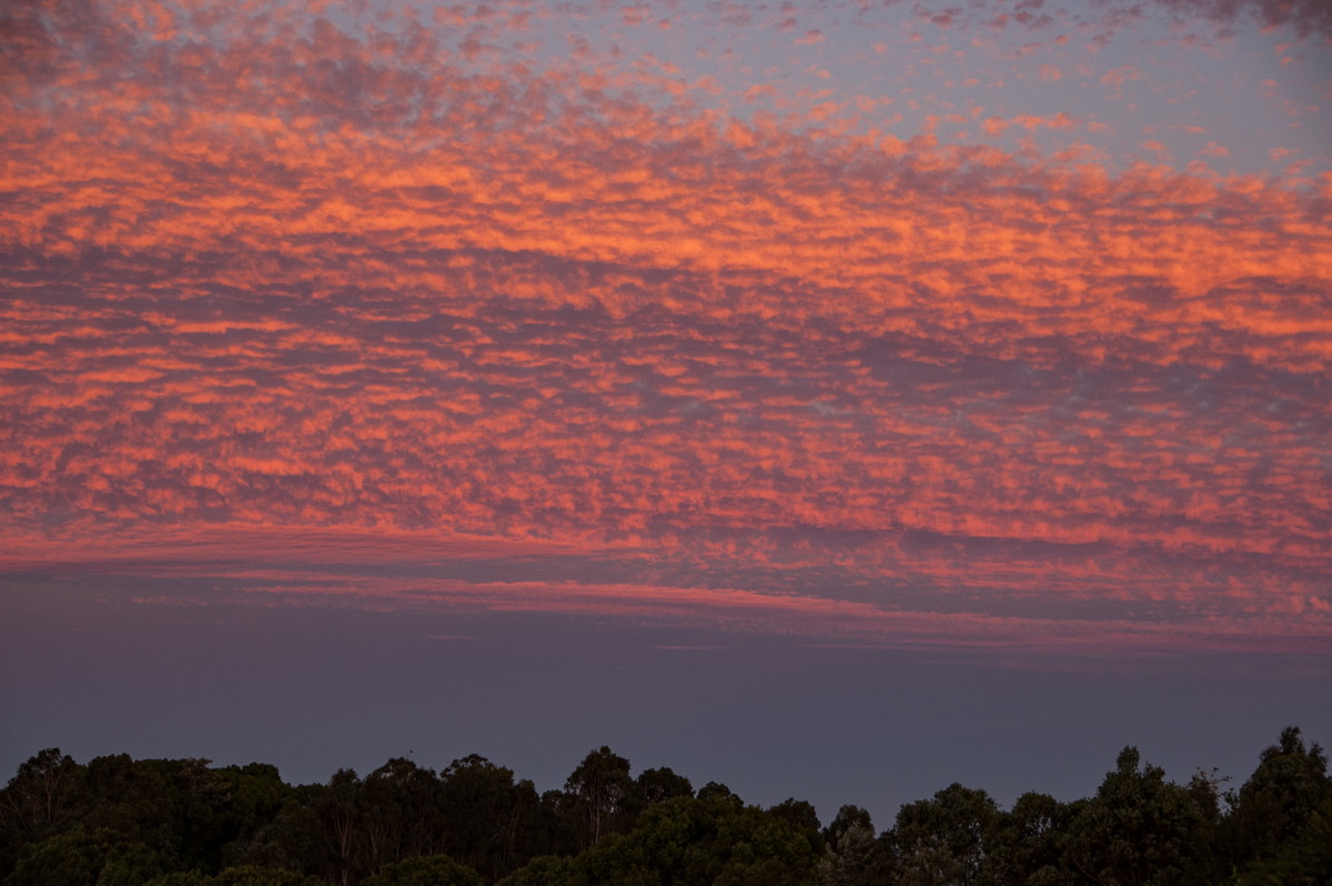 sunset sunset_pictures : McLeans Ridges, NSW   14 December 2008