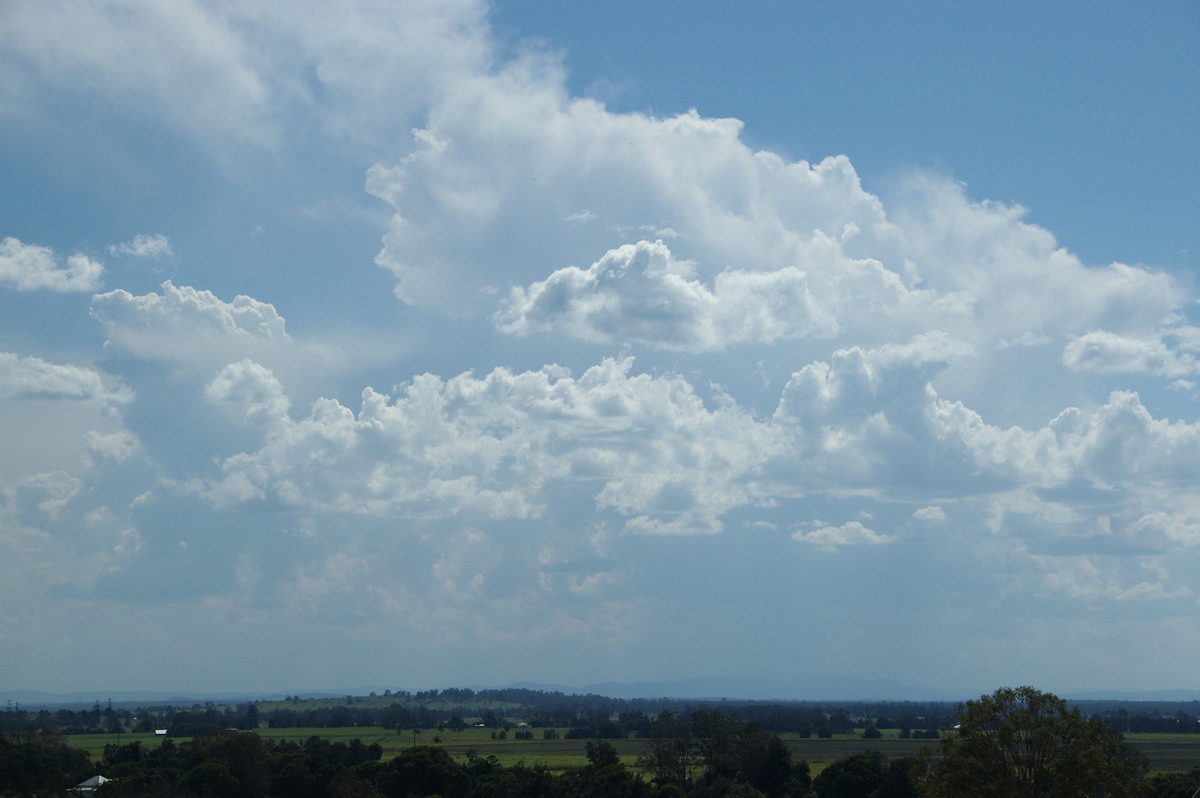 thunderstorm cumulonimbus_calvus : Tuckurimba, NSW   18 December 2008