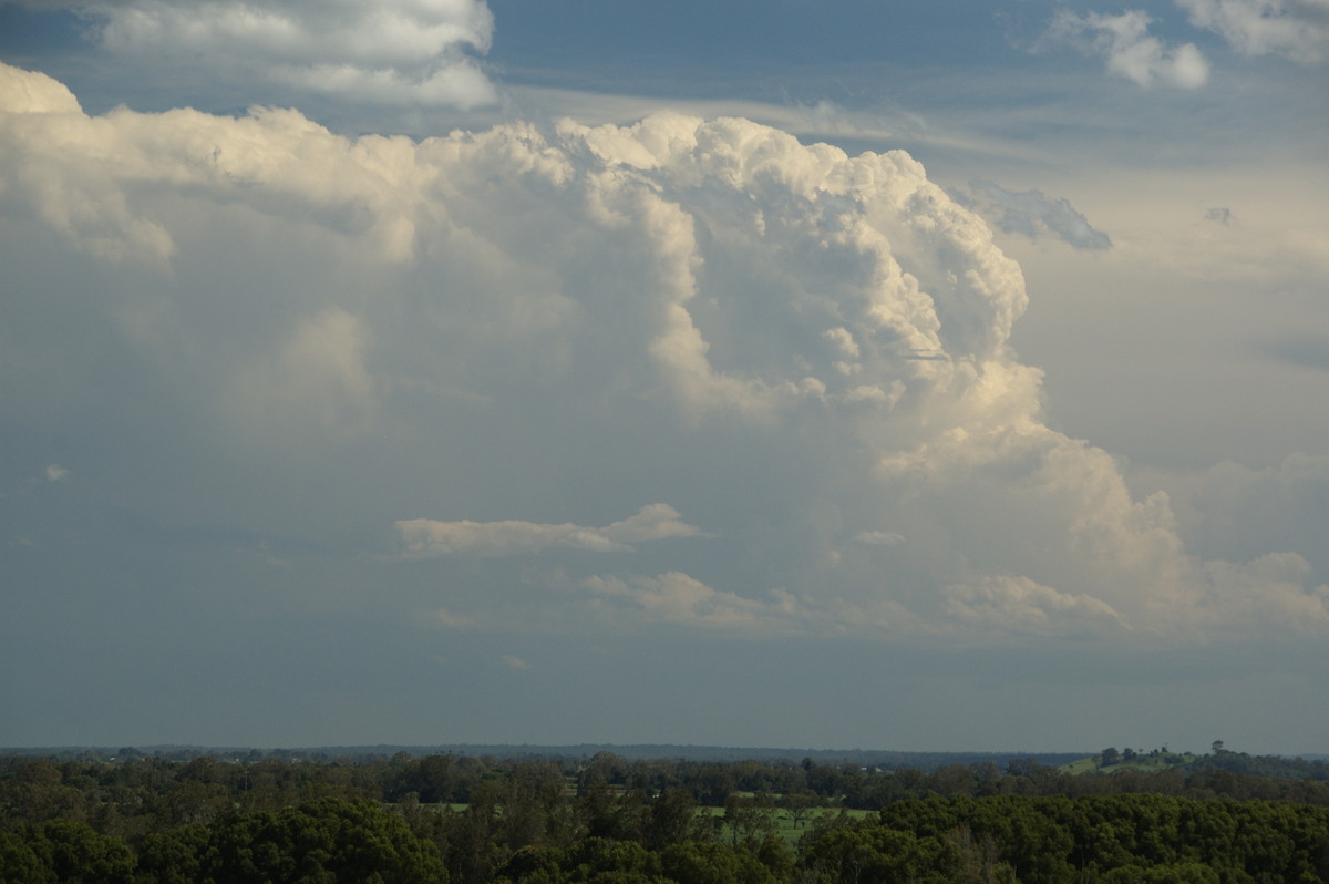 updraft thunderstorm_updrafts : Tuckurimba, NSW   18 December 2008