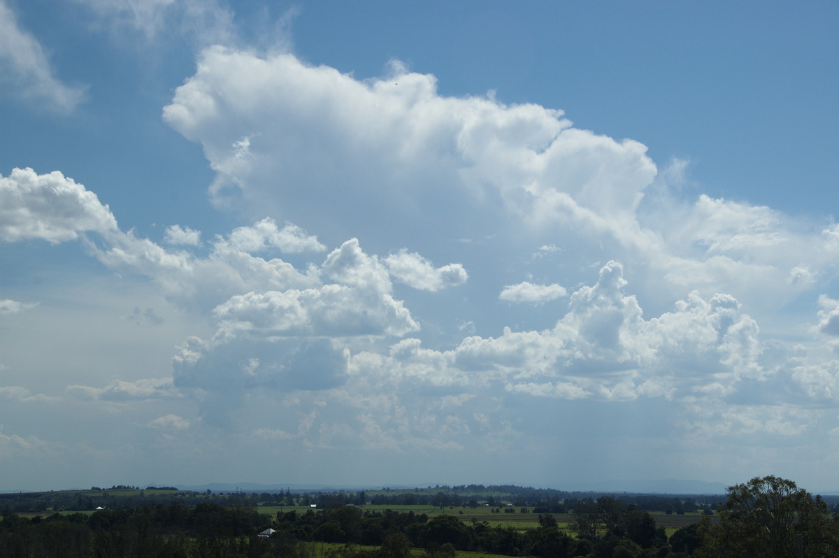 thunderstorm cumulonimbus_incus : Tuckurimba, NSW   18 December 2008