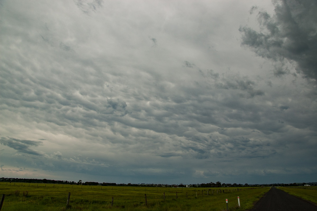 mammatus mammatus_cloud : N of Casino, NSW   18 December 2008