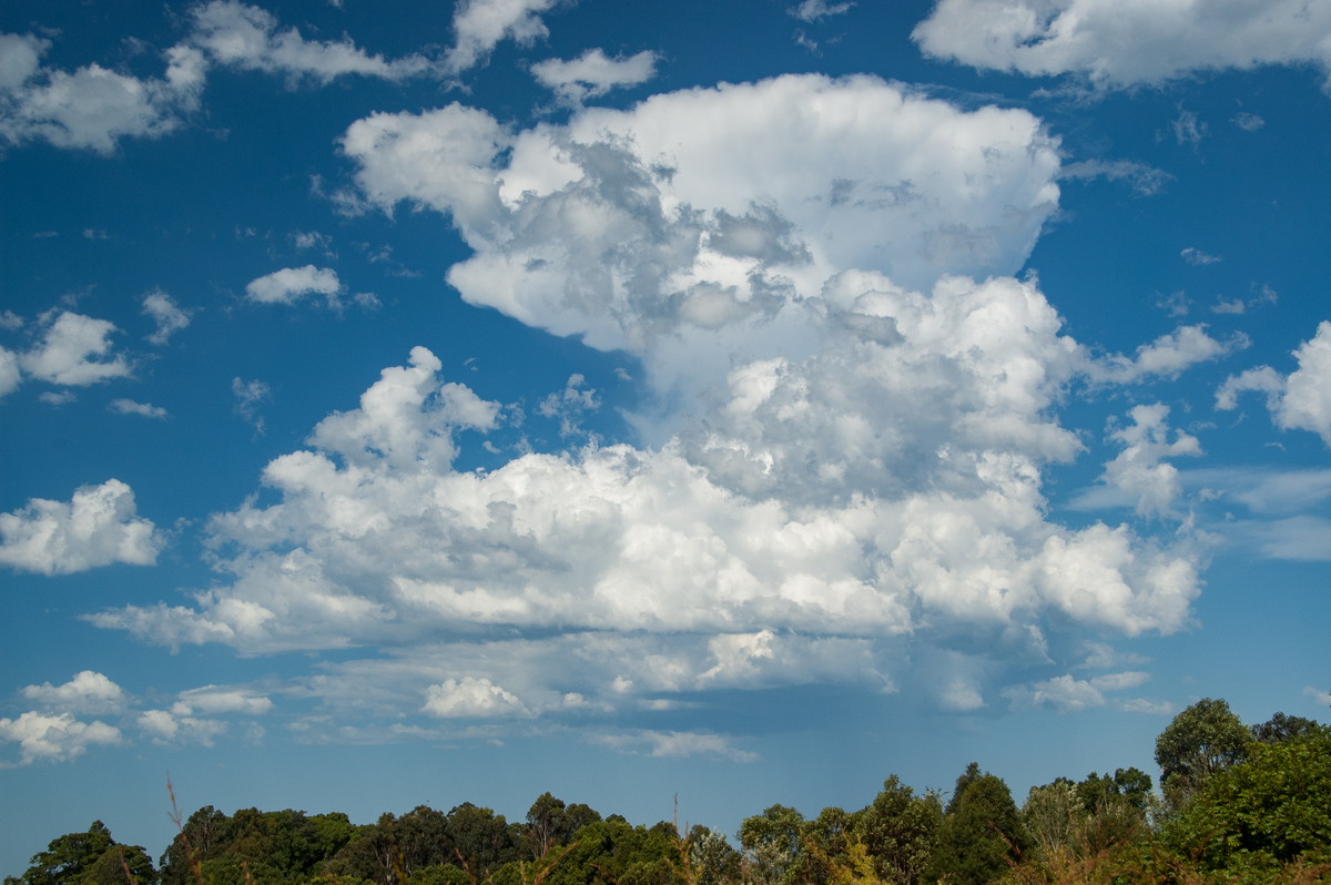 anvil thunderstorm_anvils : McLeans Ridges, NSW   19 December 2008