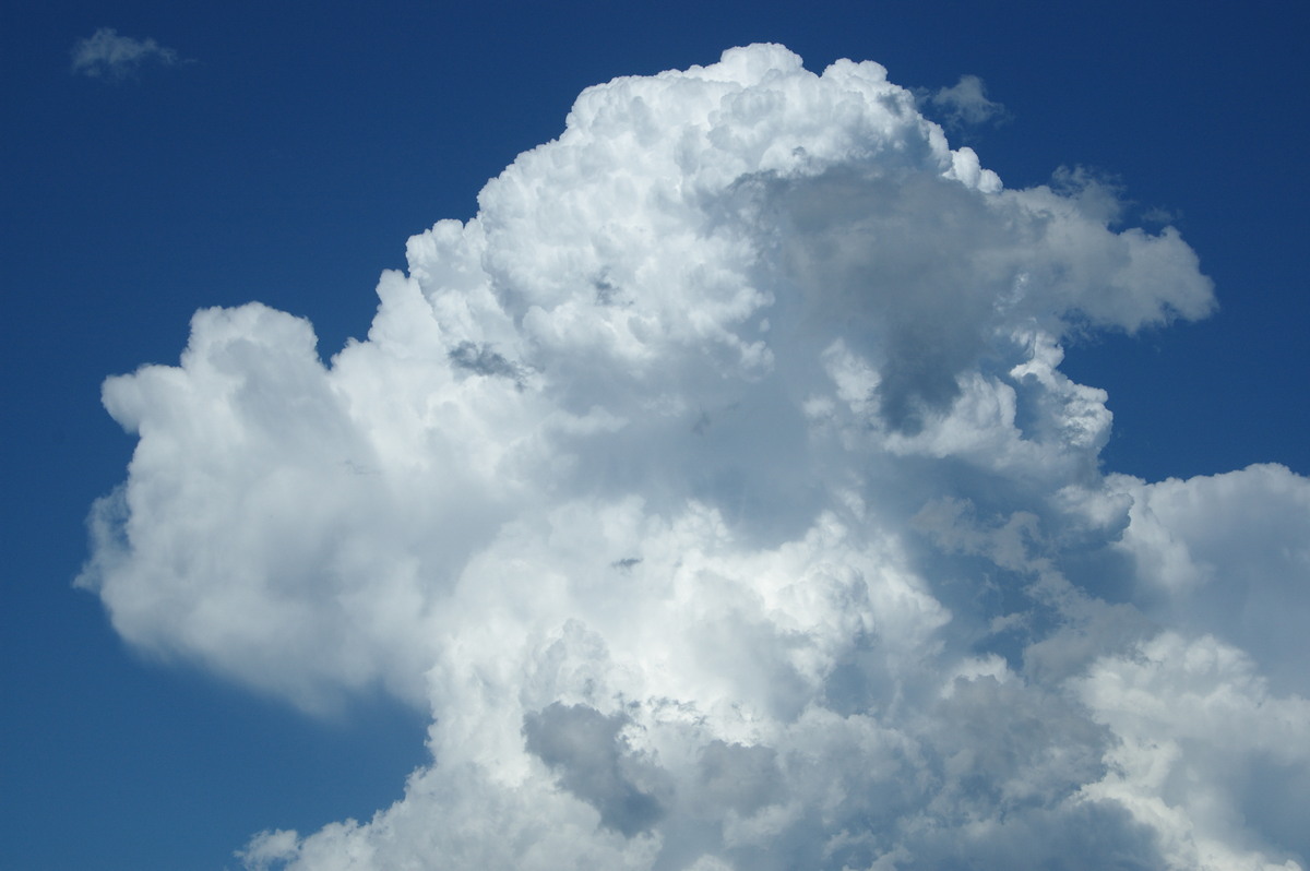 updraft thunderstorm_updrafts : McLeans Ridges, NSW   19 December 2008