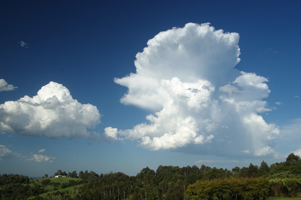 thunderstorm cumulonimbus_incus : McLeans Ridges, NSW   19 December 2008