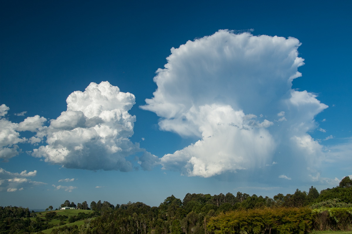 thunderstorm cumulonimbus_incus : McLeans Ridges, NSW   19 December 2008