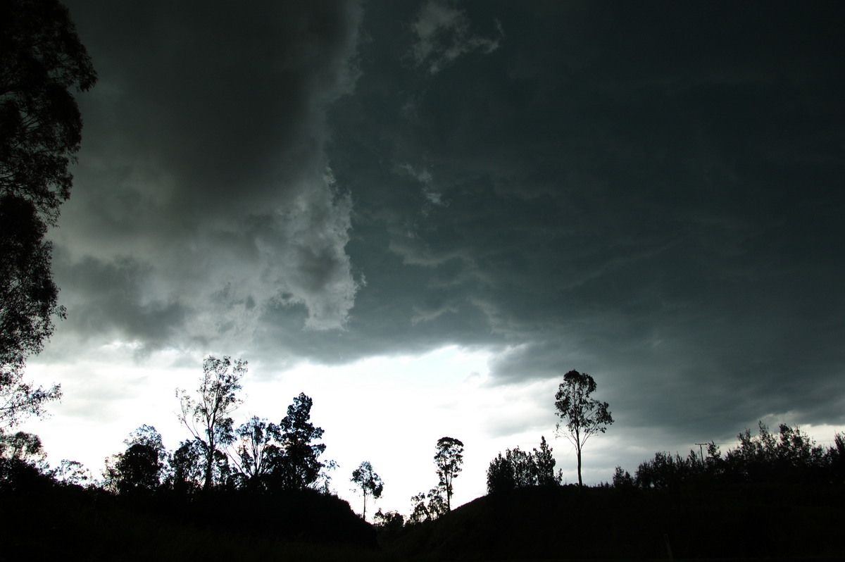 cumulonimbus thunderstorm_base : Kyogle, NSW   24 December 2008