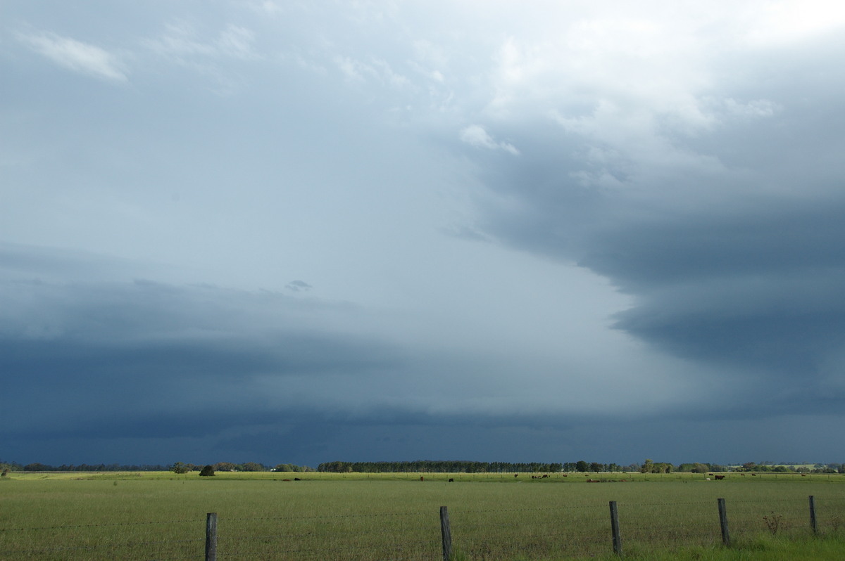 cumulonimbus thunderstorm_base : N of Casino, NSW   24 December 2008