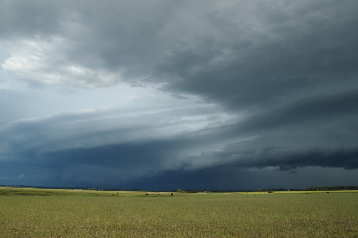 shelfcloud shelf_cloud : N of Casino, NSW   24 December 2008