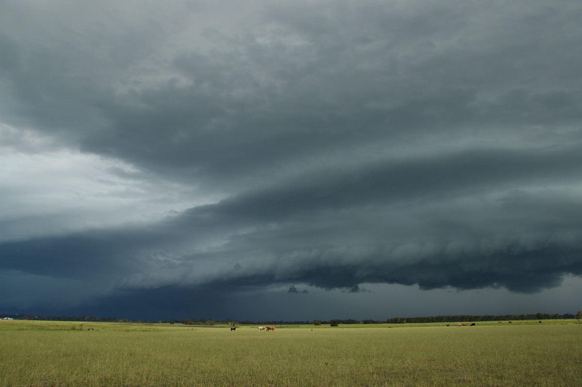 shelfcloud shelf_cloud : N of Casino, NSW   24 December 2008