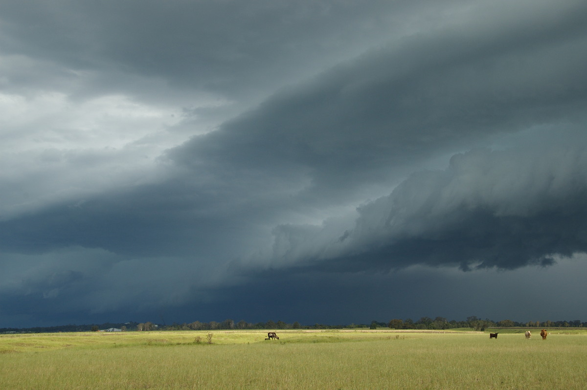 shelfcloud shelf_cloud : N of Casino, NSW   24 December 2008