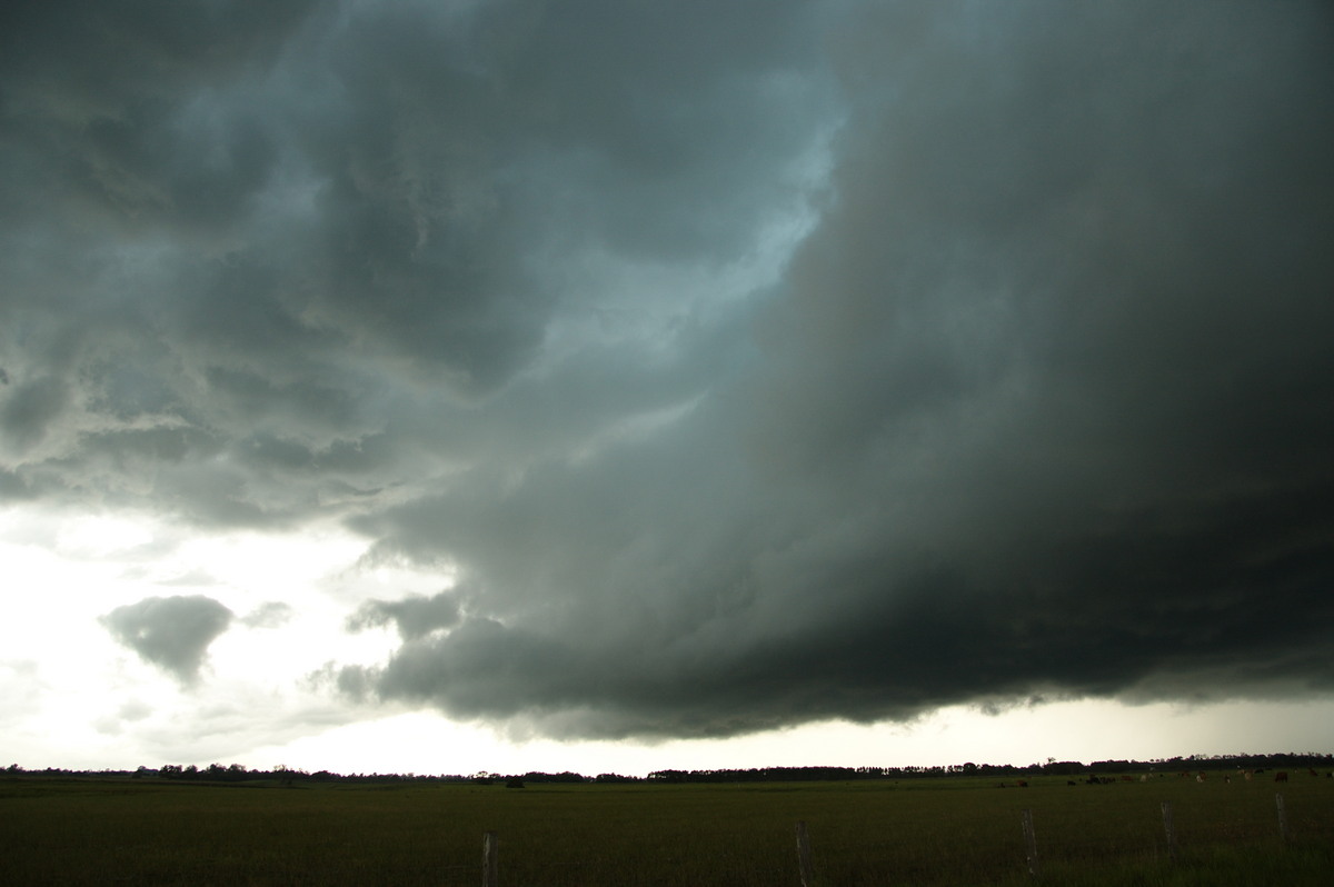 shelfcloud shelf_cloud : N of Casino, NSW   24 December 2008