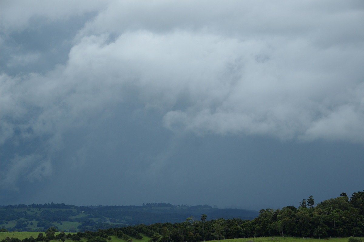 stratus stratus_cloud : McLeans Ridges, NSW   28 December 2008