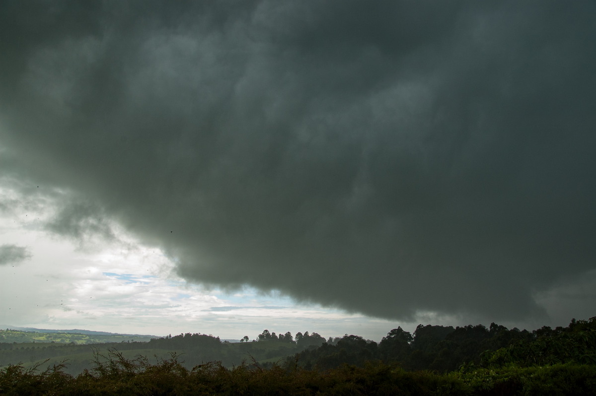 cumulonimbus thunderstorm_base : McLeans Ridges, NSW   28 December 2008