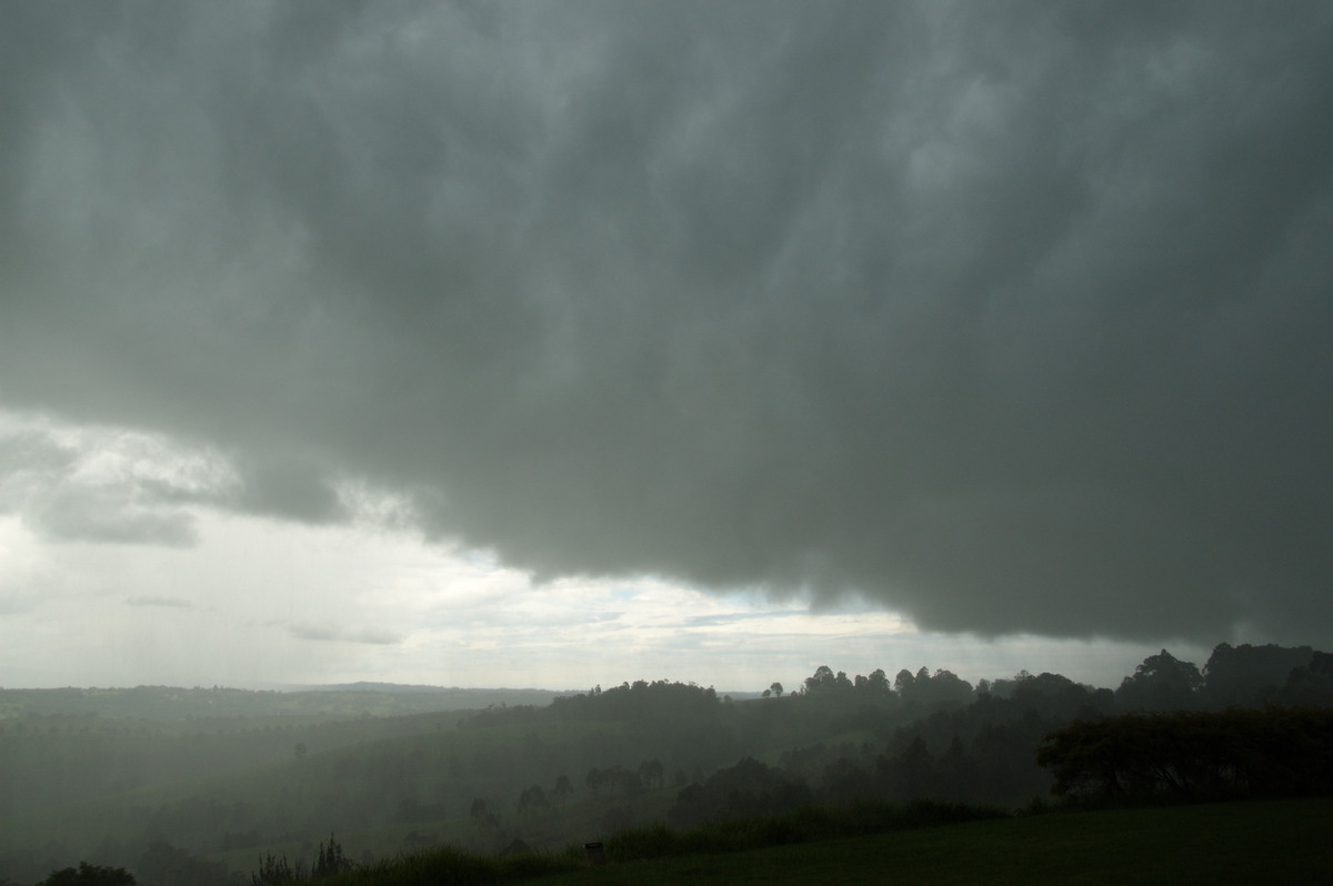 cumulonimbus thunderstorm_base : McLeans Ridges, NSW   28 December 2008