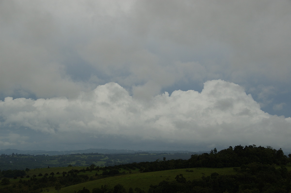 cumulus congestus : McLeans Ridges, NSW   28 December 2008