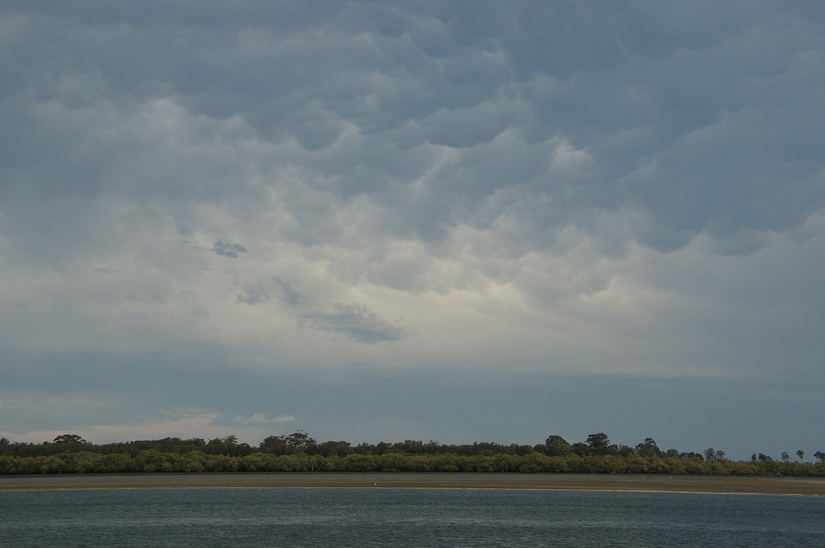 mammatus mammatus_cloud : Ballina, NSW   29 December 2008