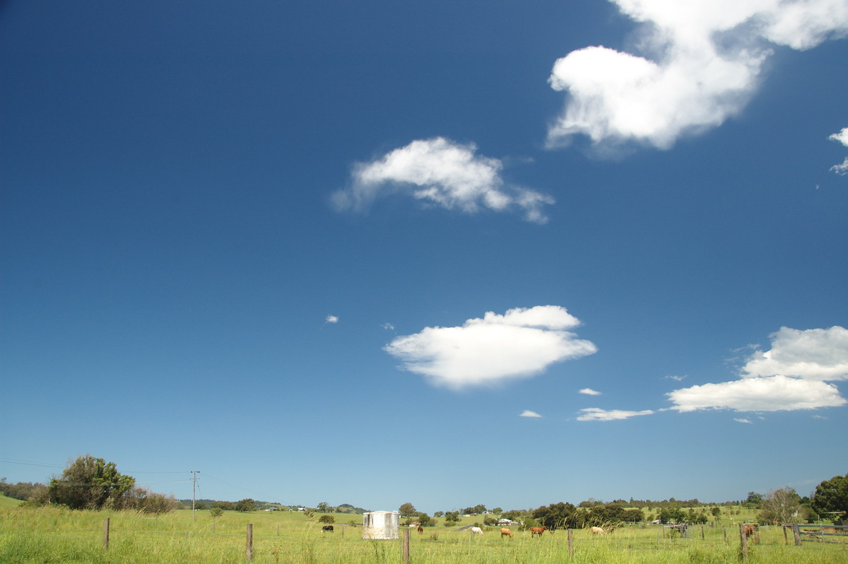 cumulus humilis : McKees Hill, NSW   30 December 2008