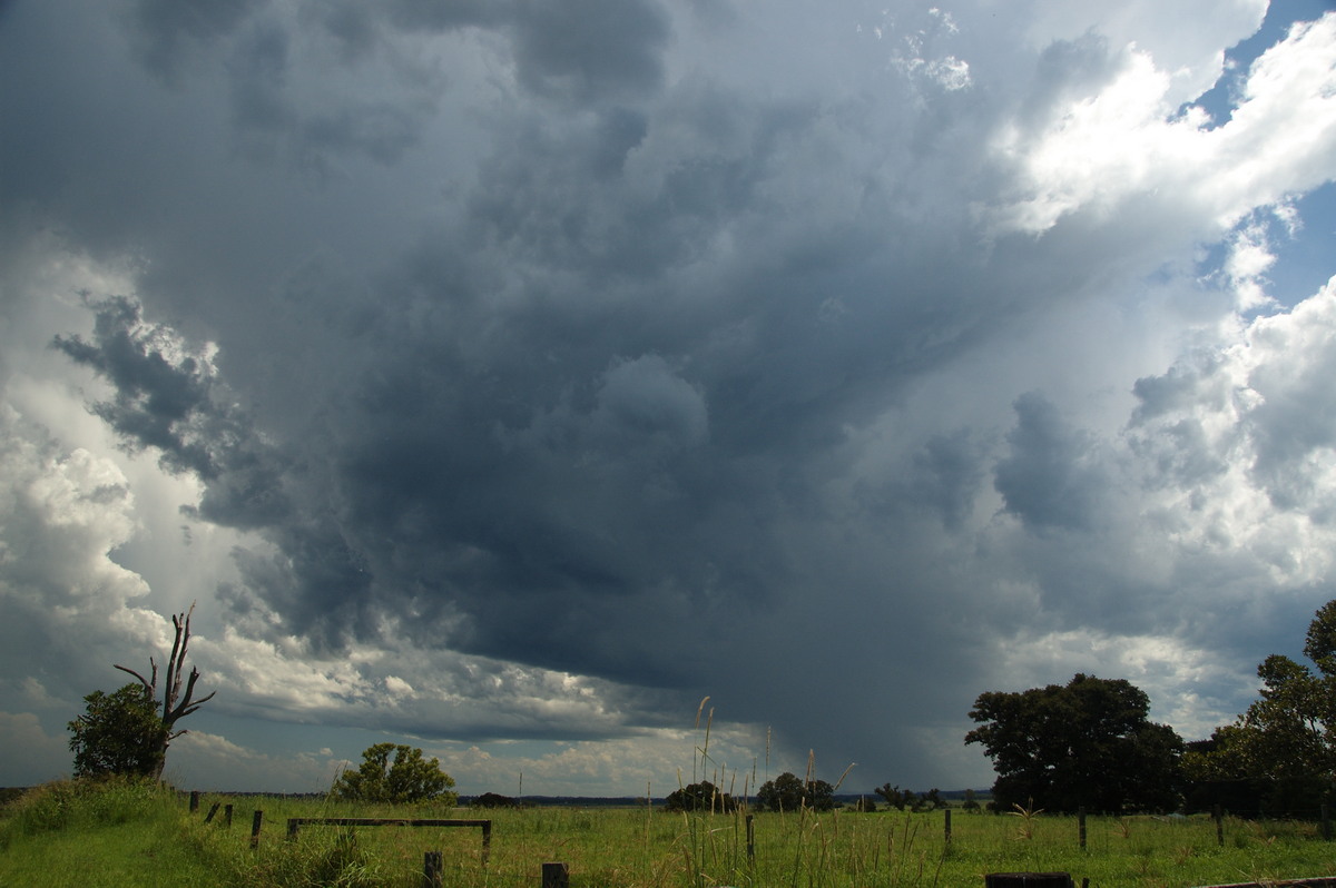 cumulonimbus thunderstorm_base : McKees Hill, NSW   30 December 2008