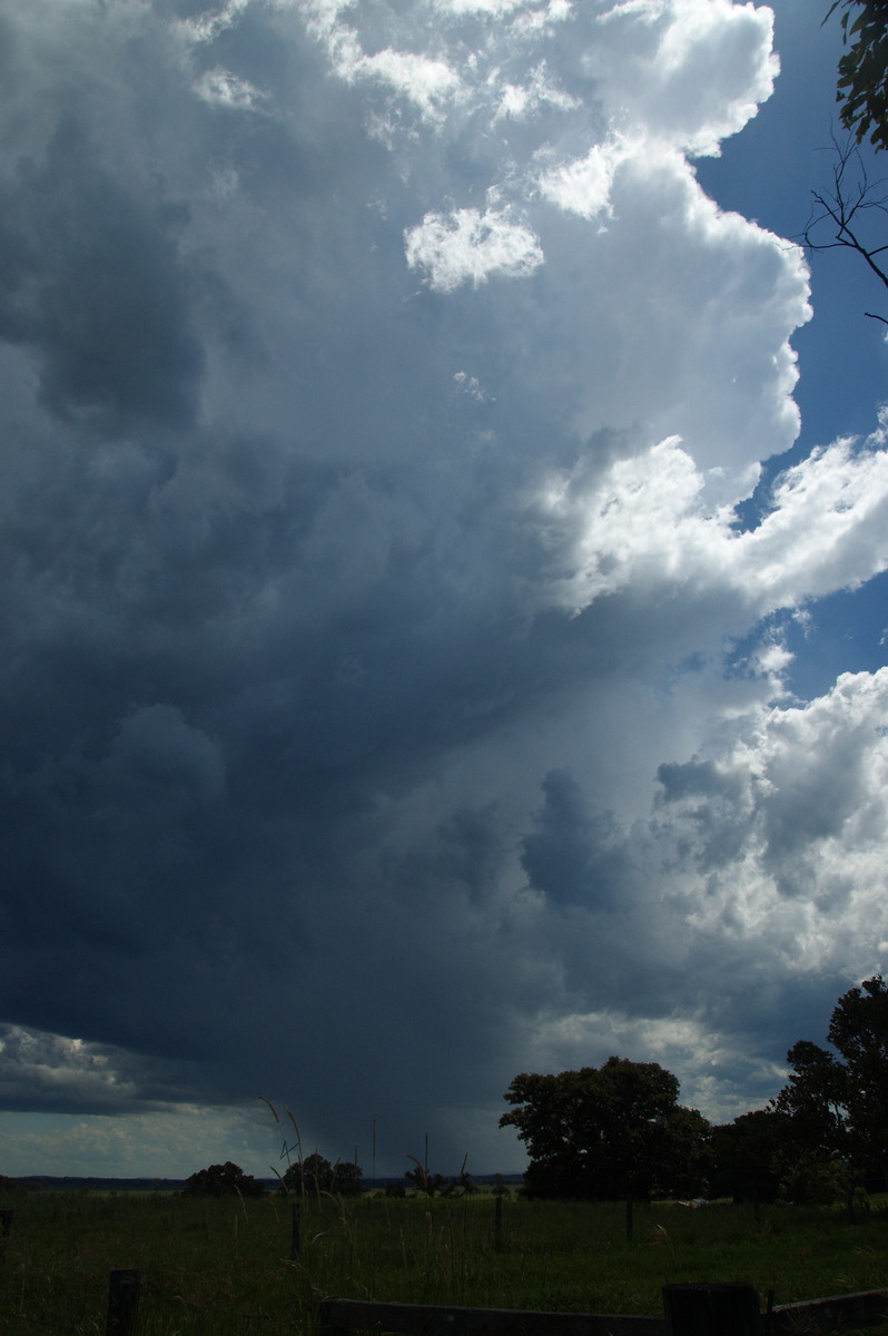 updraft thunderstorm_updrafts : McKees Hill, NSW   30 December 2008