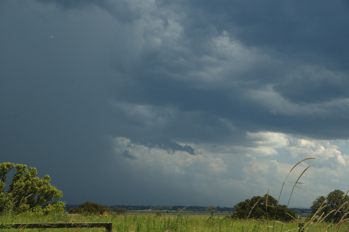 raincascade precipitation_cascade : McKees Hill, NSW   30 December 2008