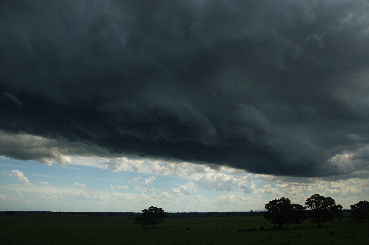 cumulonimbus thunderstorm_base : McKees Hill, NSW   30 December 2008