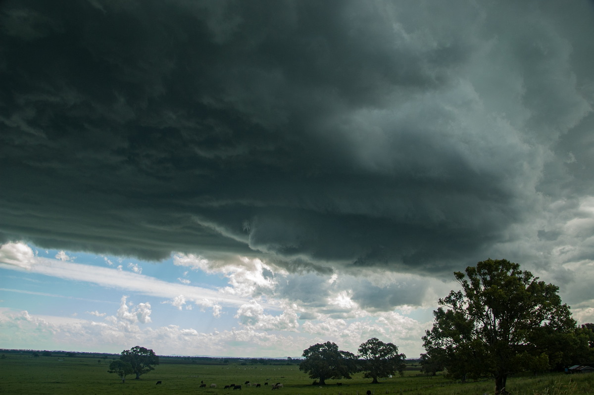 wallcloud thunderstorm_wall_cloud : McKees Hill, NSW   30 December 2008