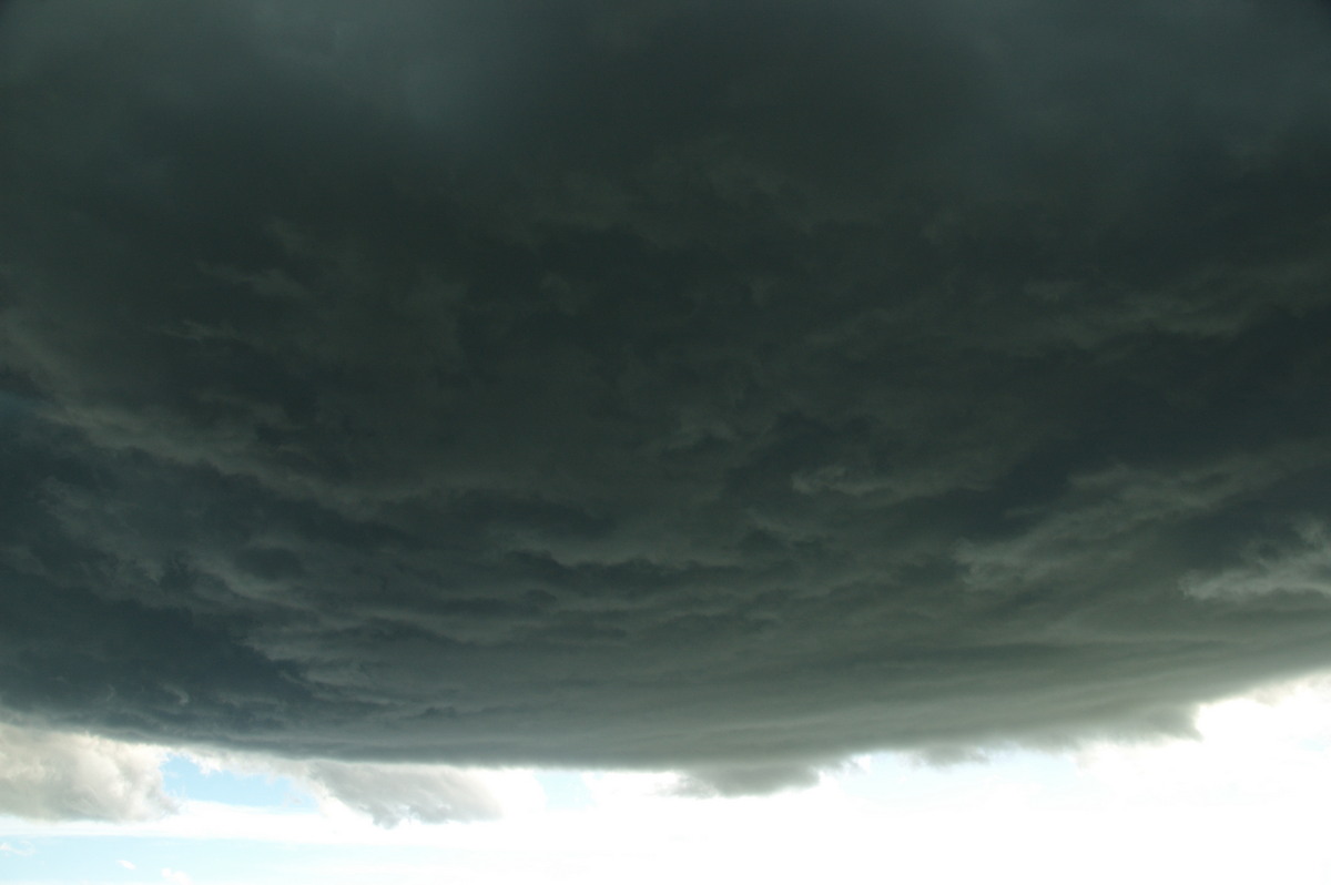 cumulonimbus thunderstorm_base : McKees Hill, NSW   30 December 2008