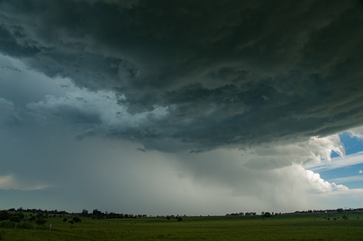 cumulonimbus thunderstorm_base : McKees Hill, NSW   30 December 2008