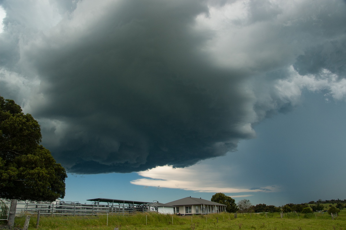 wallcloud thunderstorm_wall_cloud : McKees Hill, NSW   30 December 2008