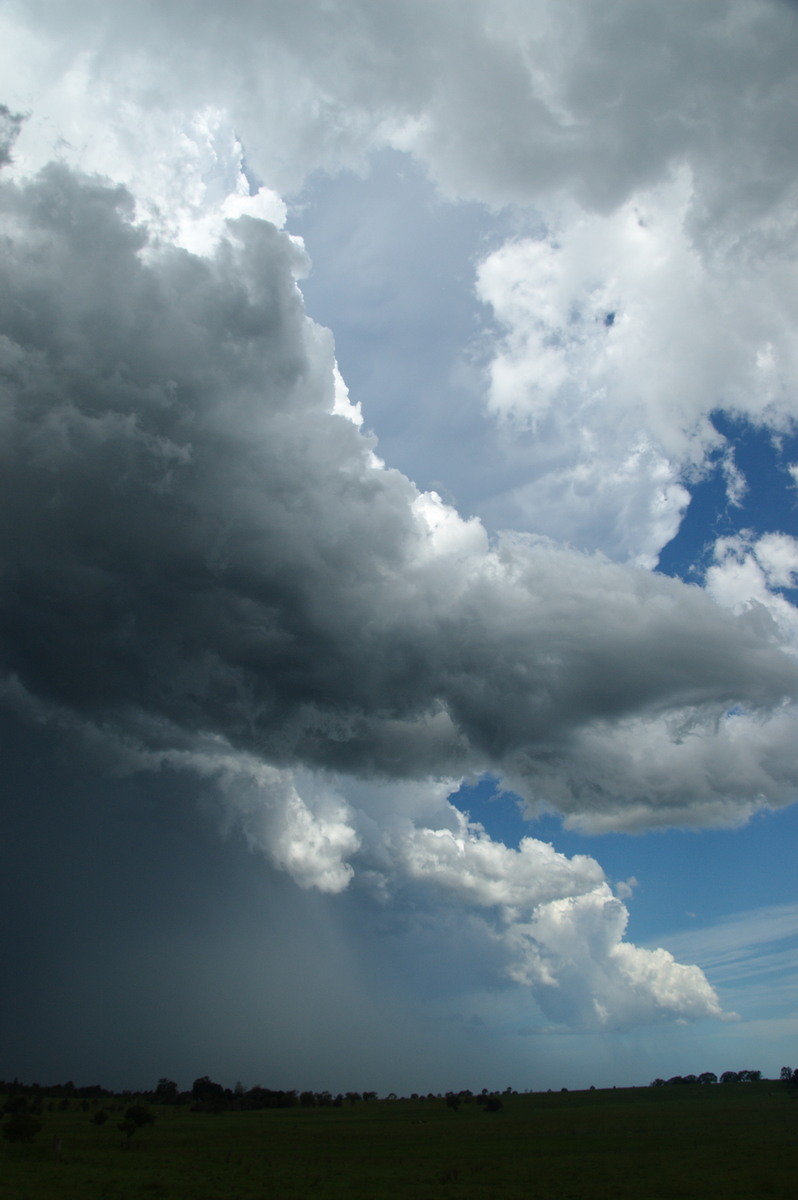 cumulonimbus thunderstorm_base : McKees Hill, NSW   30 December 2008