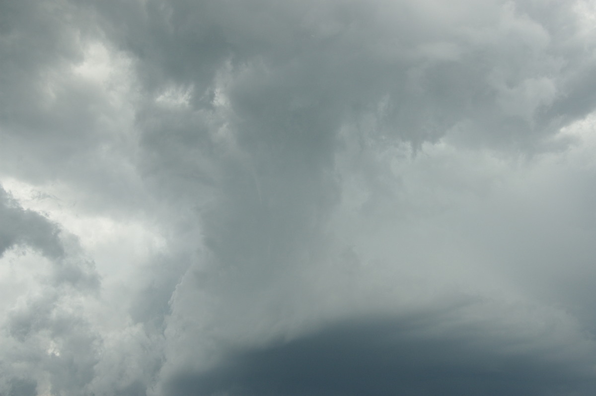 wallcloud thunderstorm_wall_cloud : McKees Hill, NSW   30 December 2008