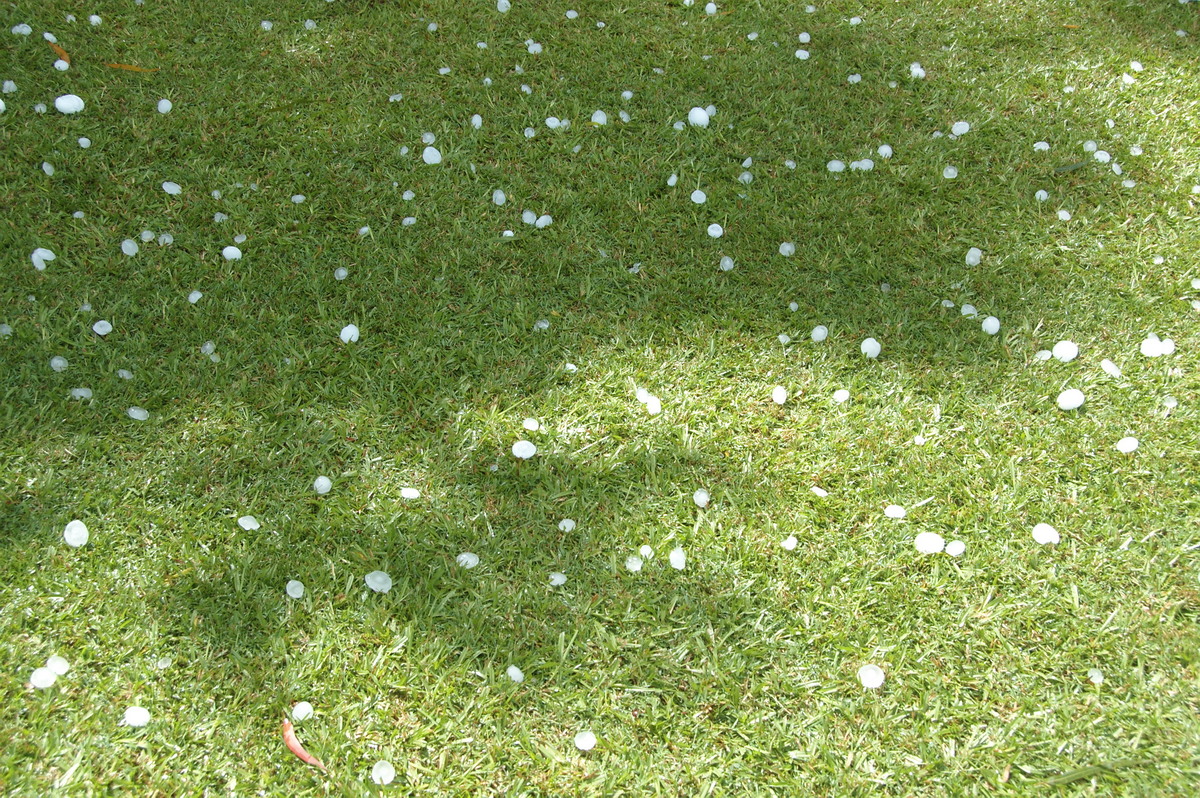 hailstones hail_stones : Lismore, NSW   30 December 2008