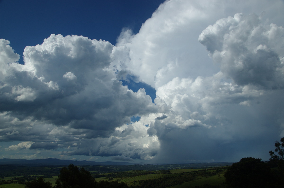 thunderstorm cumulonimbus_incus : McLeans Ridges, NSW   30 December 2008