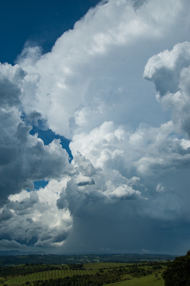 cumulonimbus supercell_thunderstorm : McLeans Ridges, NSW   30 December 2008