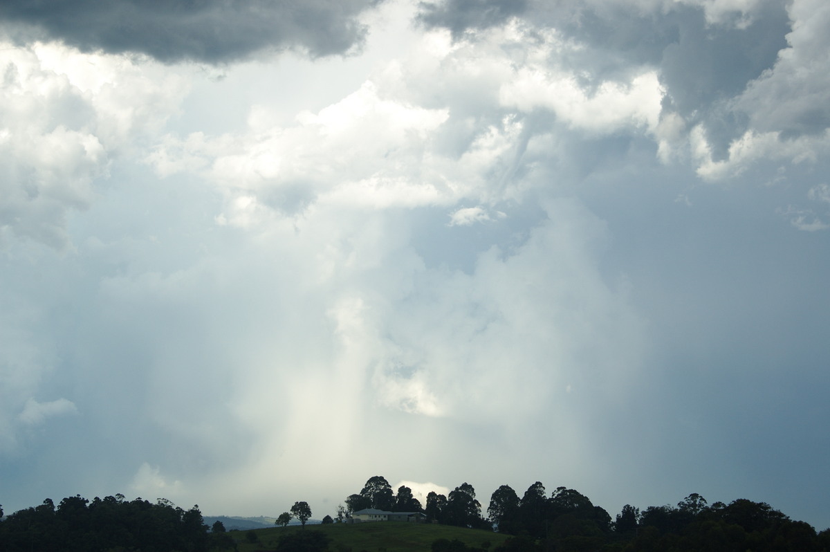 raincascade precipitation_cascade : McLeans Ridges, NSW   30 December 2008