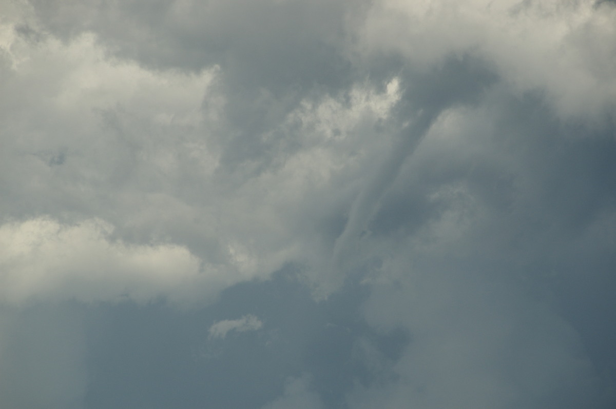 tornadoes funnel_tornado_waterspout : McLeans Ridges, NSW   30 December 2008