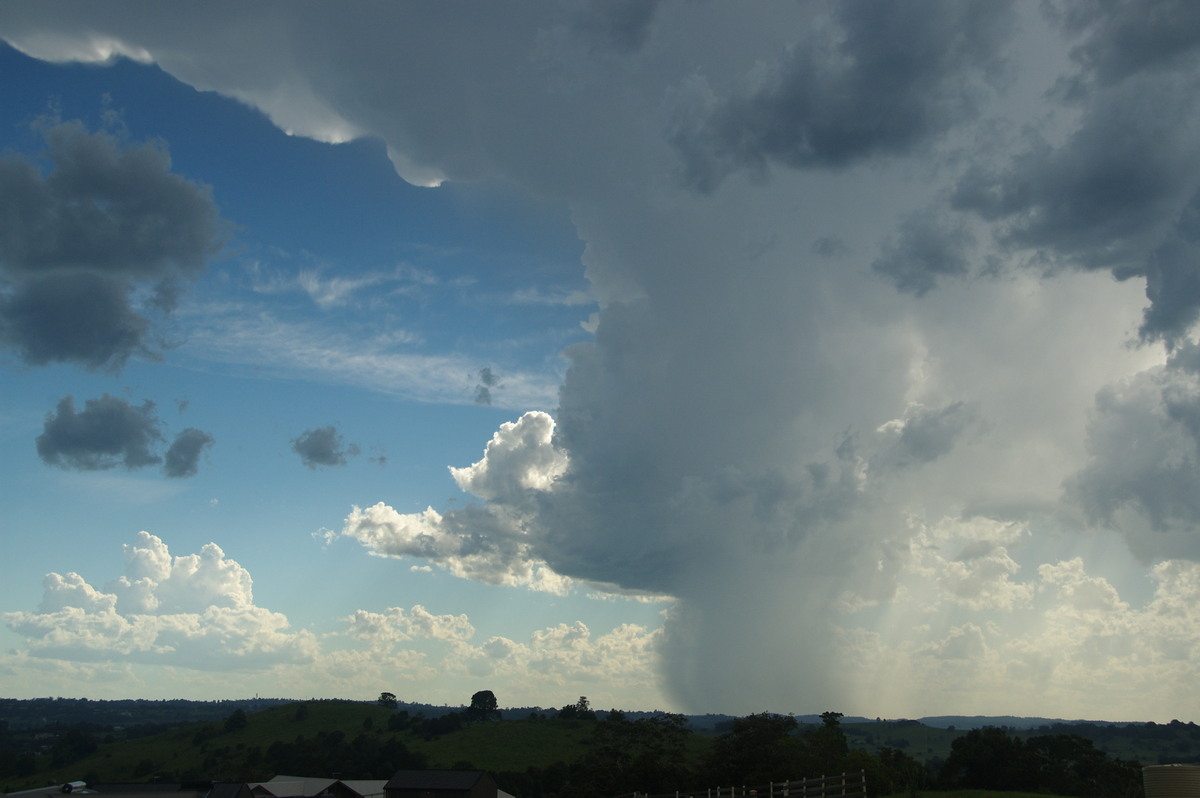 thunderstorm cumulonimbus_incus : McLeans Ridges, NSW   30 December 2008